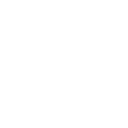 logo_yeswetrans